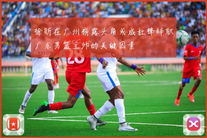 徐昕在广州崭露头角或成杜锋辞职广东男篮主帅的关键因素